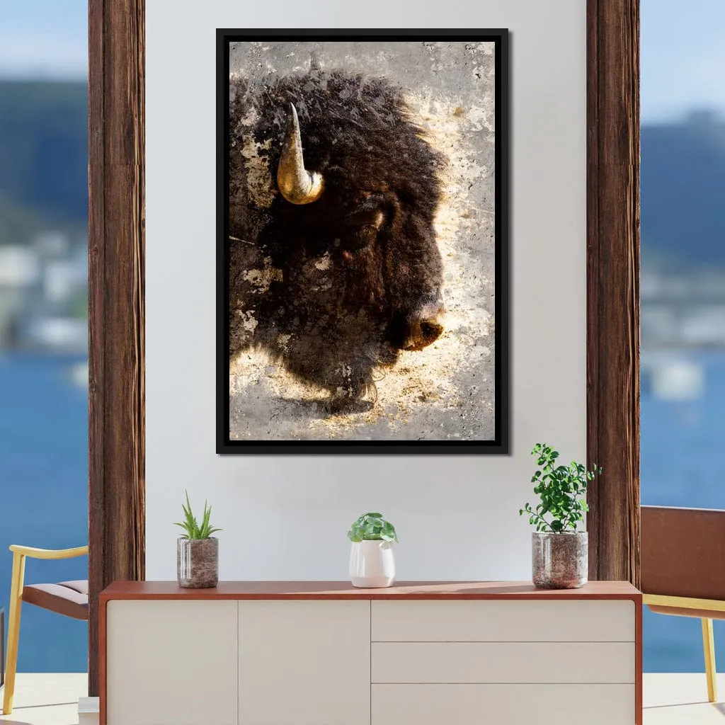 American Bison