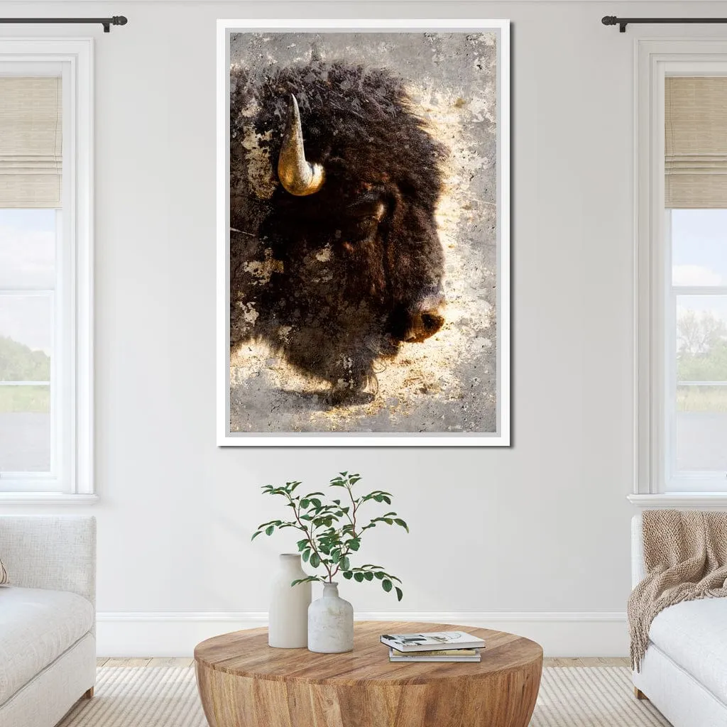 American Bison