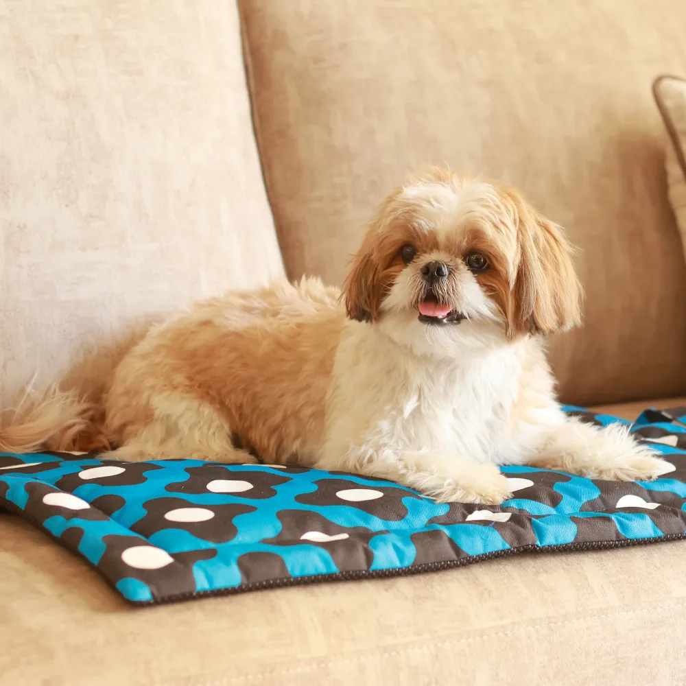 Blue Bliss Pet Mat