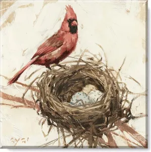 Cardinal On A Nest Canvas Art