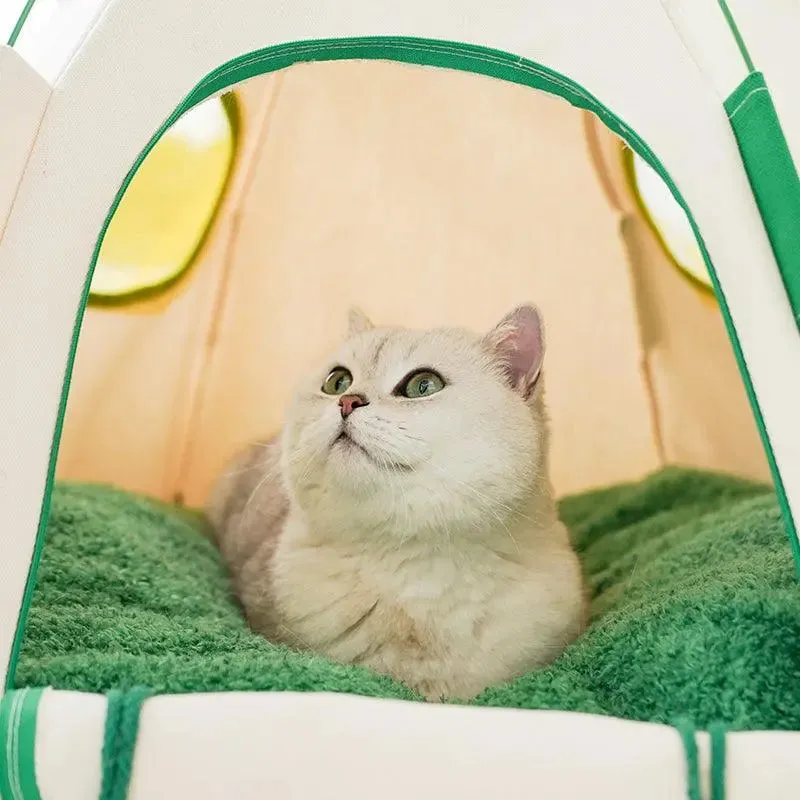 Cozy Igloo Cat Tent