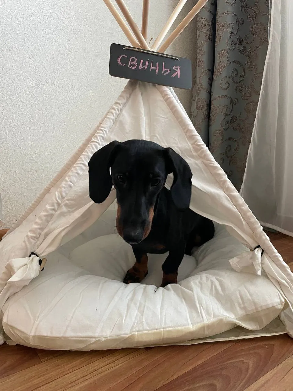 Dachshund Teepee Bed