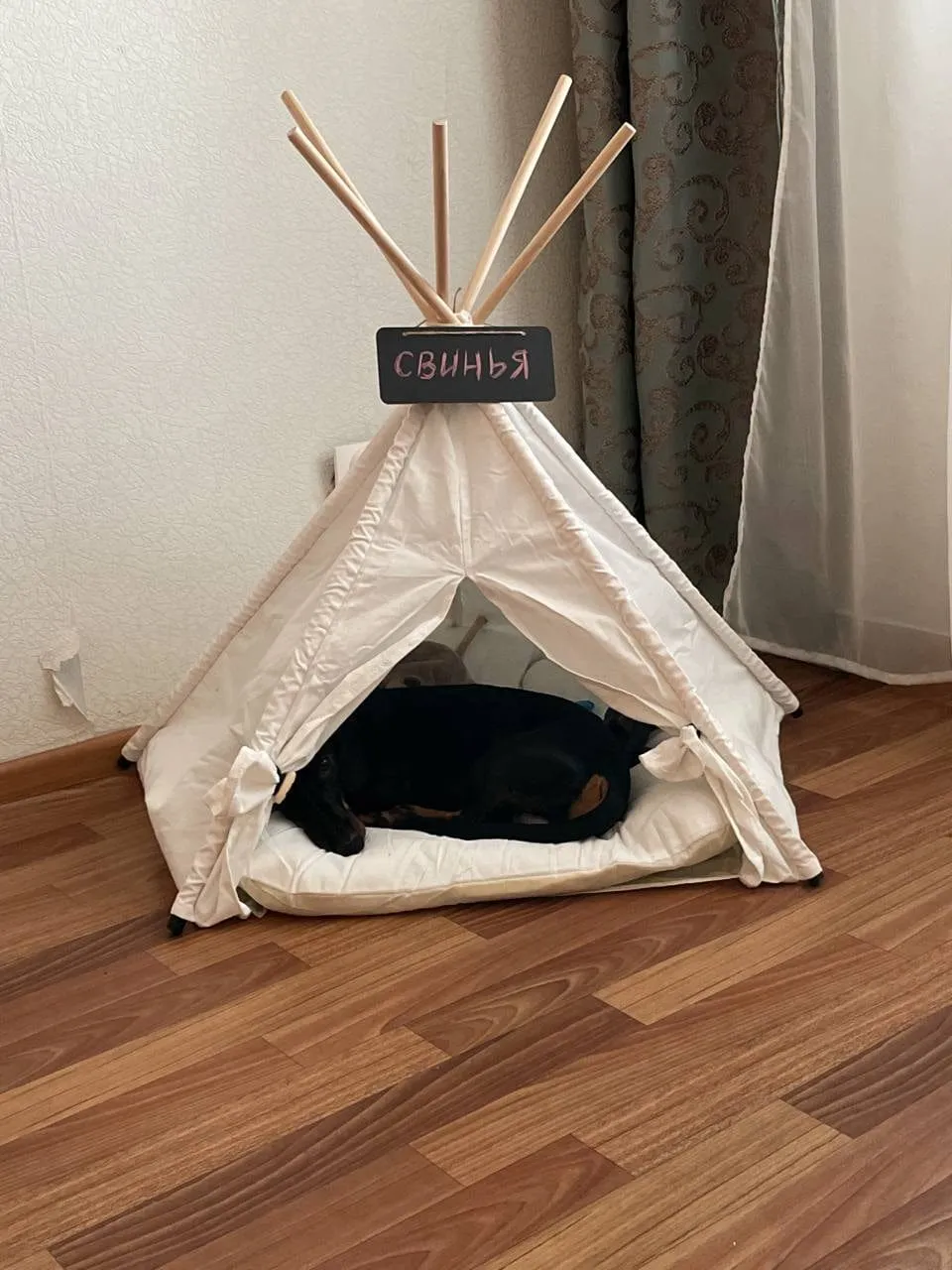 Dachshund Teepee Bed