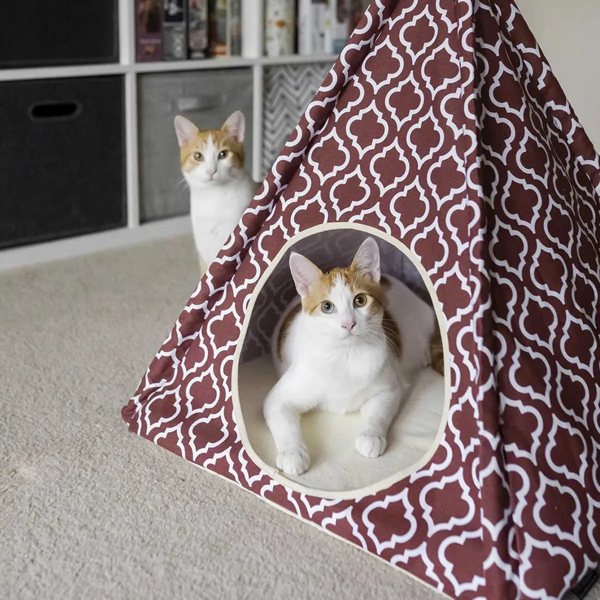 Moroccan Marsala Red Pet Teepee