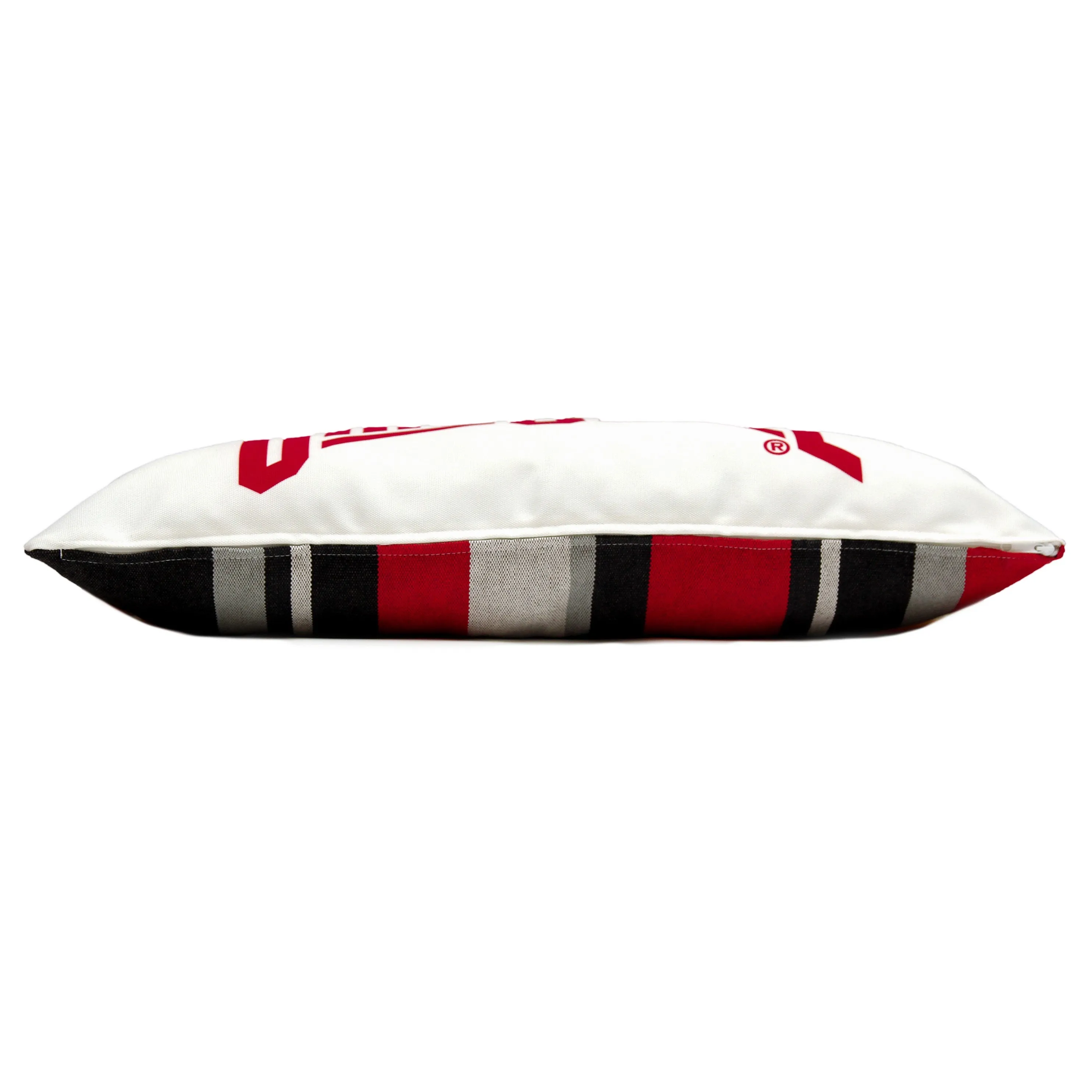 Ohio State Buckeyes Pillow | OHIO