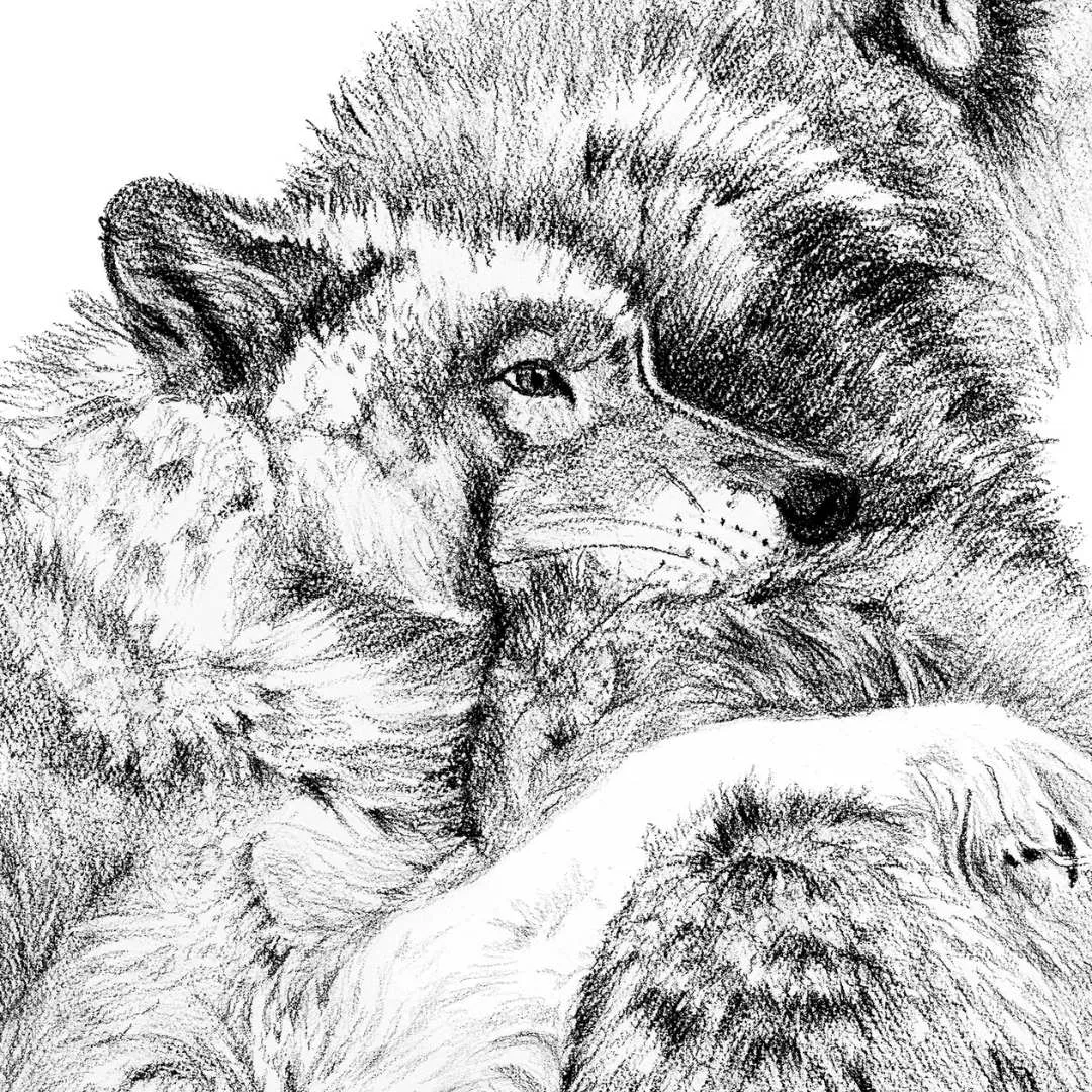 Wolf Cuddles